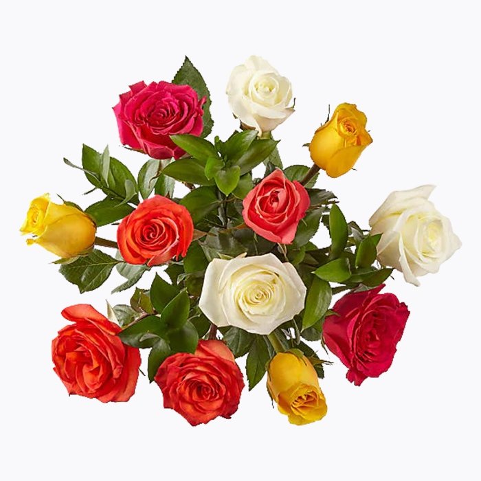 Vibrant Blooms - The Million Bloom® -
