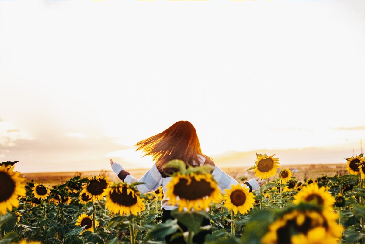 Kisah Bunga Matahari: Bunga Yang Melambangkan Harapan - The Million Bloom®