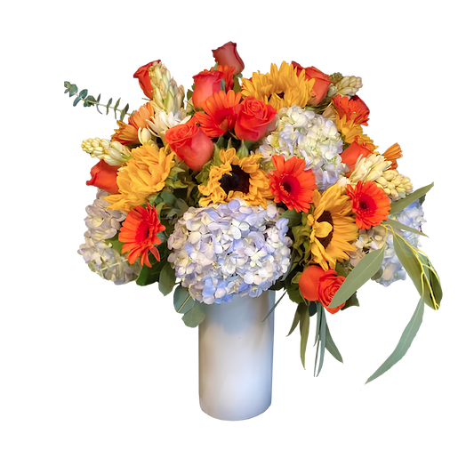 Cordial Conversation