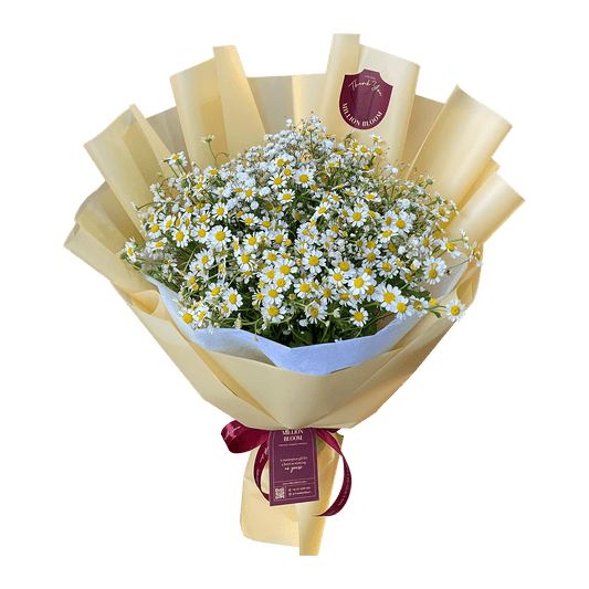 Dreamy Chamomiles - The Million Bloom® -