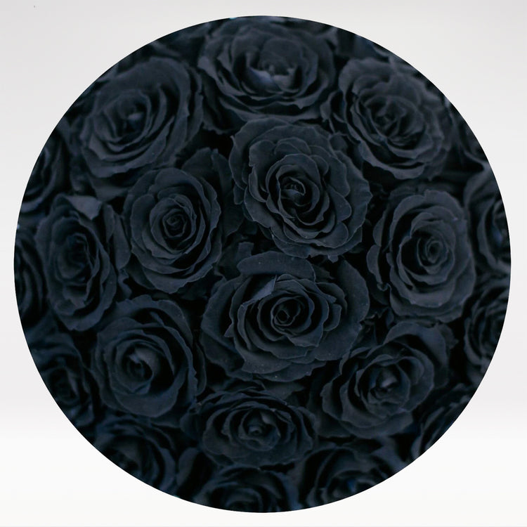 Onyx Rose - Bloom Box