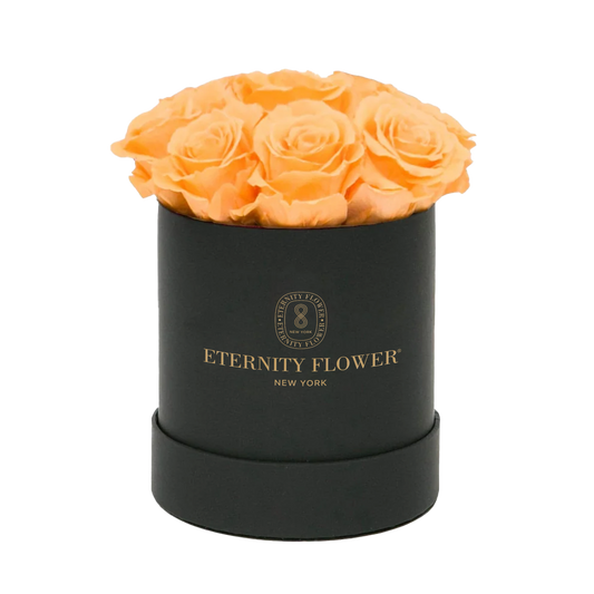 Peach Melody - Bloom Box