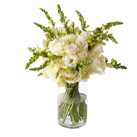 koleksi bunga mawar putih