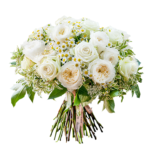 White Wallflower