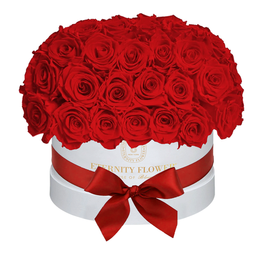 Yorkshire Superdome Box