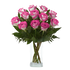 Blushing Bride Roses