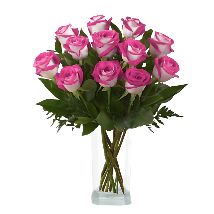 Blushing Bride Roses