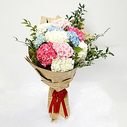Rainbow of Hydrangeas