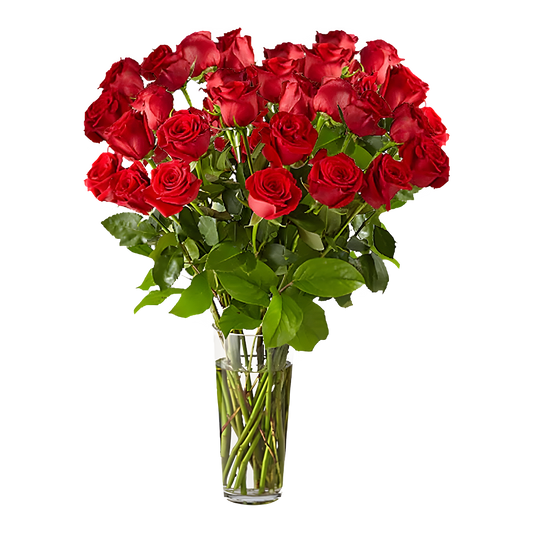 Heartfelt Red Roses