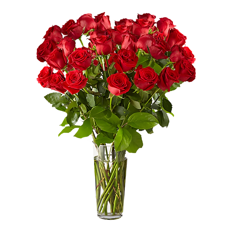 Heartfelt Red Roses