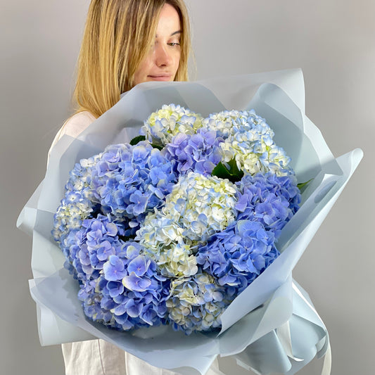 A Sky Full of Hydrangeas