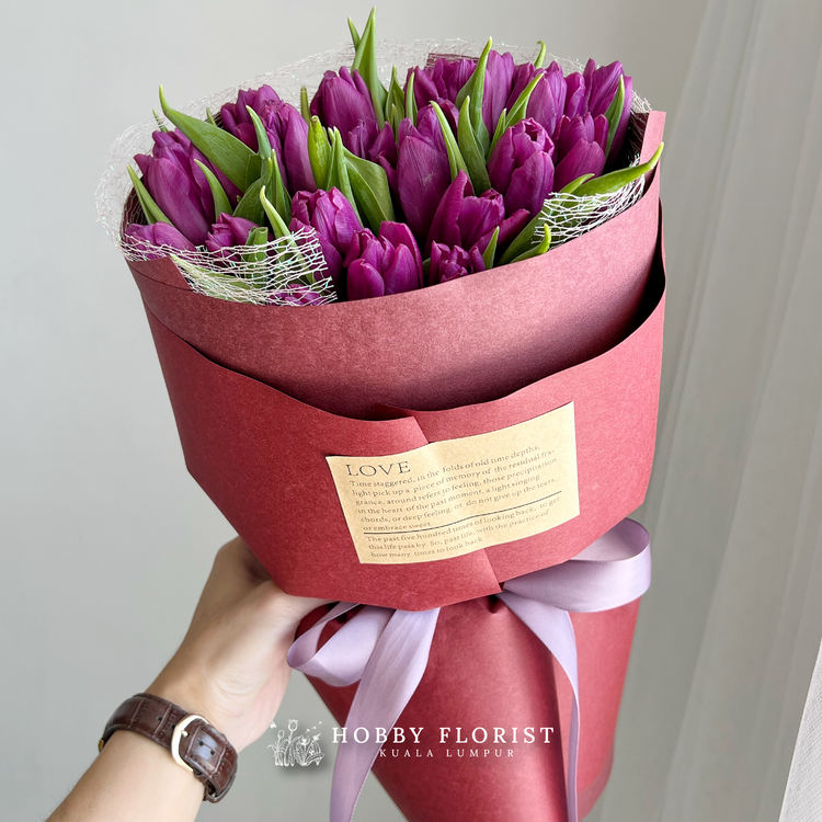 Tulip in Paris
