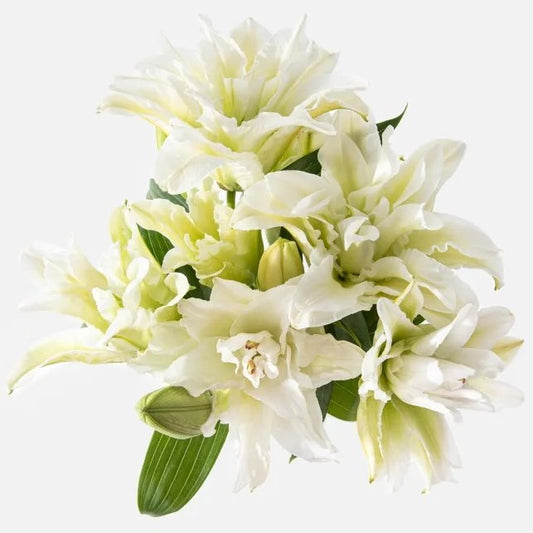 Angelic Beauty Vase - The Million Bloom® -