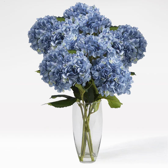 Blue Beauty - The Million Bloom® -