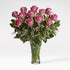 Rose Enchantment - The Million Bloom® -