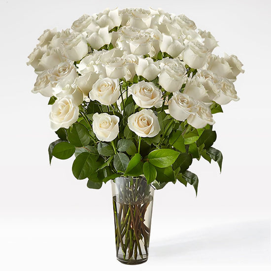 White Radiance Roses - The Million Bloom® -
